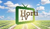 Horti TV estreia na 32ª edição do Encontro Estadual de Hortigranjeiros