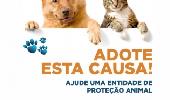 NFG terá encontro de capacitação para entidades de proteção animal