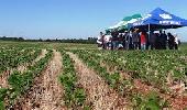 Dias de Campo sobre Soja serão realizados em Três de Maio e Santo Antônio das Missões