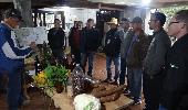 Agricultores de Horizontina participam de dia de campo sobre produção orgânica