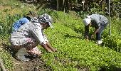 Cartilha orienta agricultores sobre proteção contra a covid-19