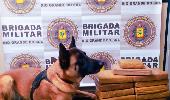 Cão Mali auxilia na apreensão de drogas durante a Operação Hórus