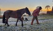 Frio abaixo de zero e geada na região sul do Brasil