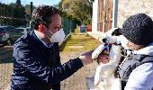 Novos investimentos para a proteção animal em Passo Fundo 