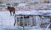 EM PRIMEIRA ONDA DE FRIO DO INVERNO, RS TEM PREVISÃO DE TEMPERATURAS NEGATIVAS E GEADA ATÉ INÍCIO DE JULHO